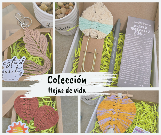 Colección Hojas de Vida🍂