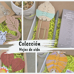 Collection image for: Colección Hojas de Vida🍂