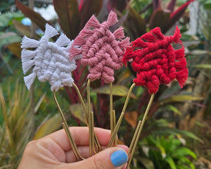 Collection image for: Colección Amor Anudado