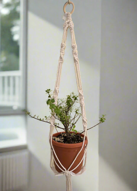 Plant hanger for pots up to 8"