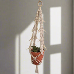 Collection image for: Decoración
