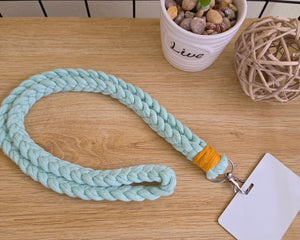 Collection image for: Accesorios para el diario